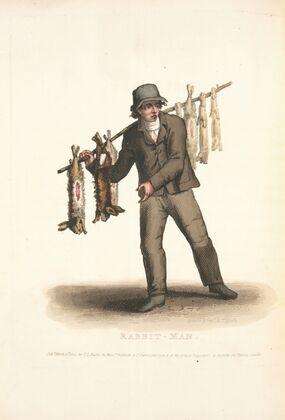 Rabbit-man