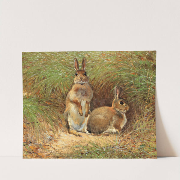 Rabbits by Victor Stoetzner-Lund