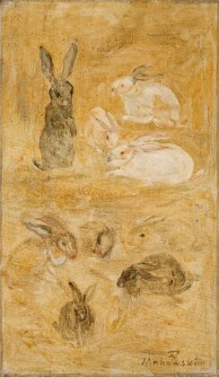 Rabbits