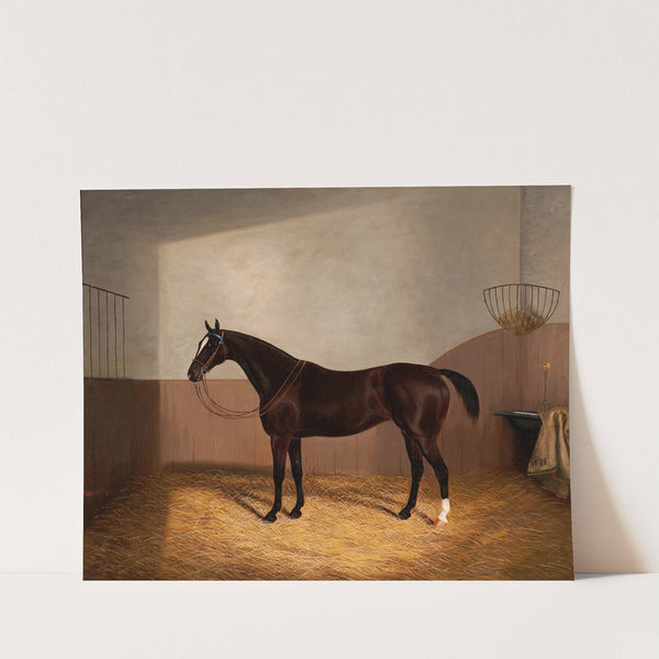 Race Horse by Albert Clark