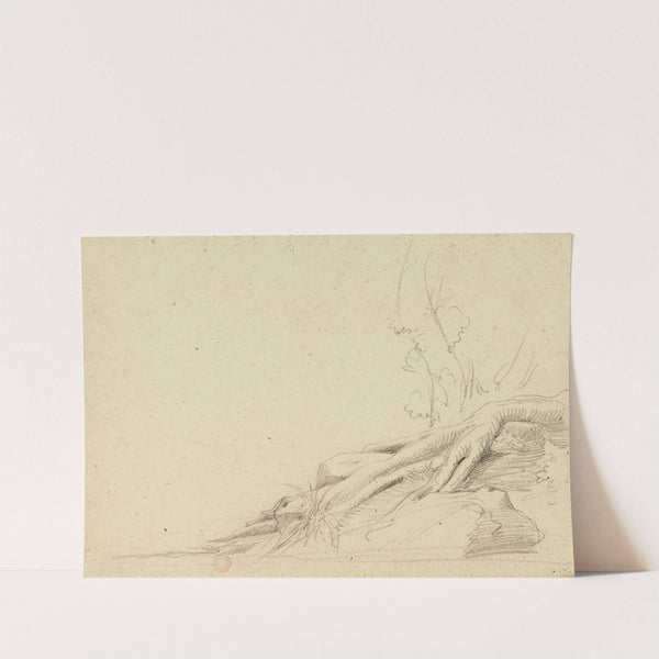 Racine by Jean-Achille Benouville