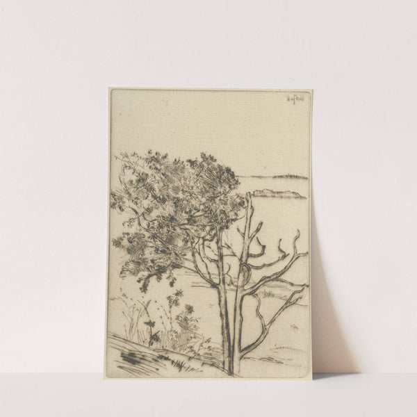 Ragged Tree – Maine (1903-1925) by Ernest Haskell