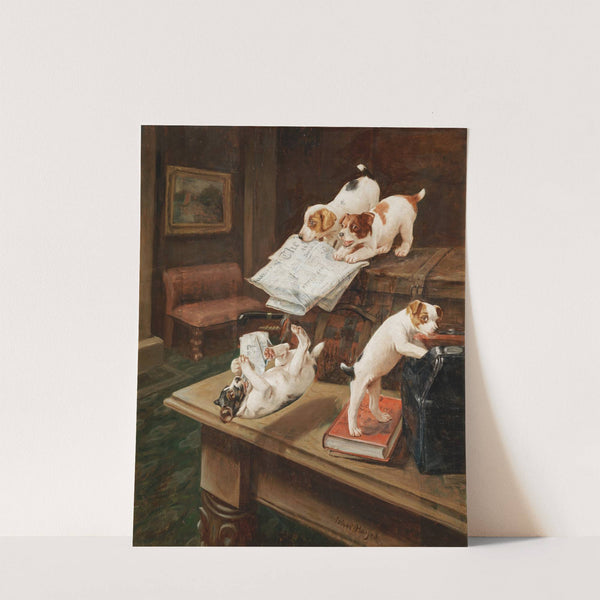 Raiders by John Hayes