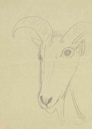 Ram head