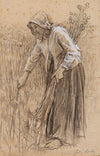 Ramasseuse d’Åillettes