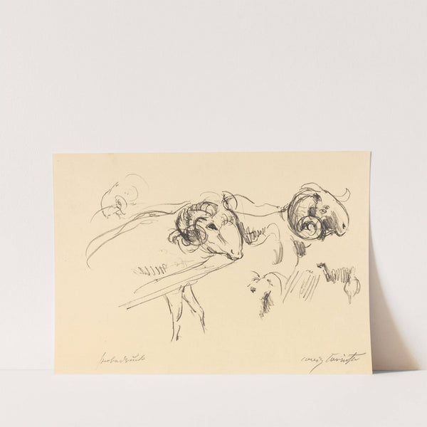 Rams (Schafböcke) (1912) by Lovis Corinth