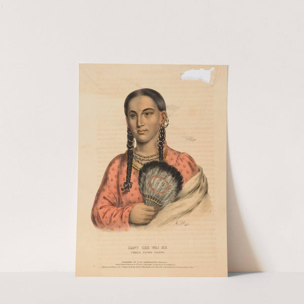 Rant Che Wai Me. Female Flying Pigeon (1838) by Charles Bird King