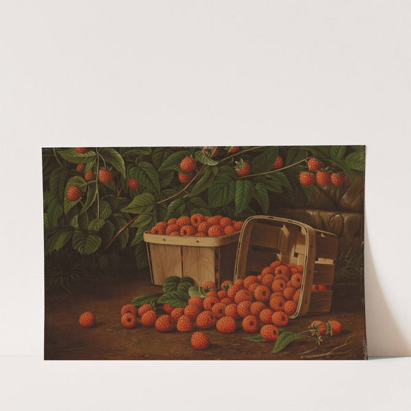 Raspberries in Basket (Raspberries and Baskets) by Levi Wells Prentice