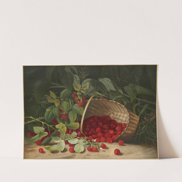 Raspberries by Virginia Granberry