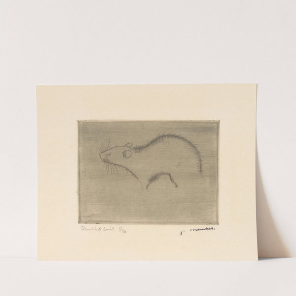 Rat (1918) by Jan Mankes