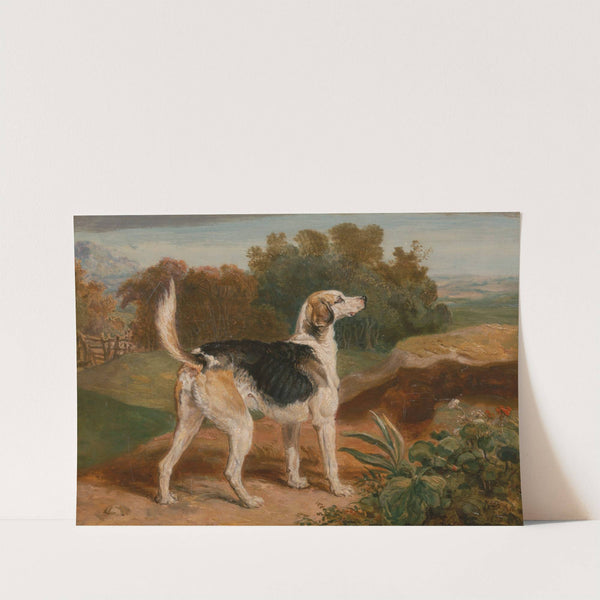 Ravager, One of the Lambton Hounds (1835) by James Ward