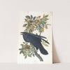 Raven (1827–1838) by John James Audubon