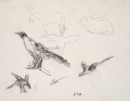 Ravens, Donkey, Rabbit, and Goose
