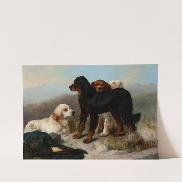 Ready for sport by George W. Horlor