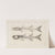 Recherches sur les poissons fossiles Pl.007 by Louis Agassiz
