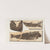 Recherches sur les poissons fossiles Pl.067 by Louis Agassiz