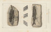 Recherches sur les poissons fossiles Pl.137