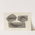 Recherches sur les poissons fossiles Pl.139 by Louis Agassiz