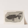 Recherches sur les poissons fossiles Pl.219 (1833-1843) by Louis Agassiz