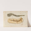Recherches sur les poissons fossiles Pl.323 (1833-1843) by Louis Agassiz