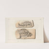 Recherches sur les poissons fossiles Pl.381 by Louis Agassiz