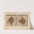 Recherches sur les poissons fossiles Pl.389 by Louis Agassiz