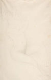 Reclining nude female figure