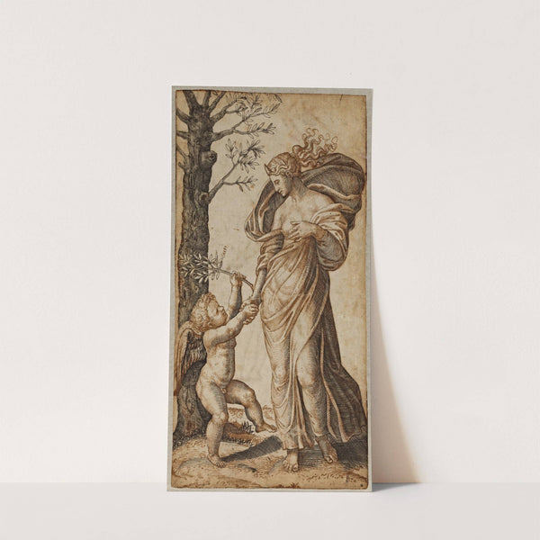 Reconciliation of Minerva and Cupid by Marcantonio Raimondi