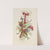 Recueil Des Trophies Chinoises Pl.6 (1920) by Jean-Baptiste Pillement