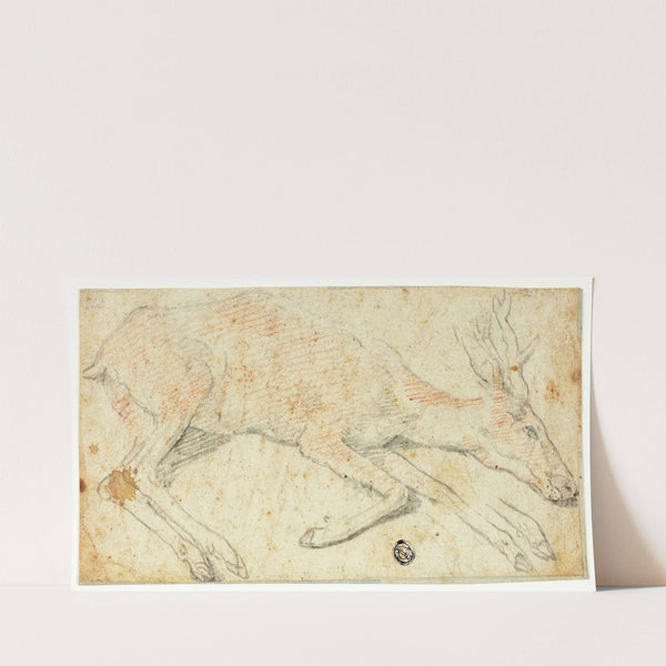 Recumbent Deer (ca. 1560-1600) by Federico Zuccaro