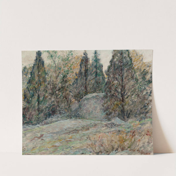 Red Cedars and Rocks by Robert Reid