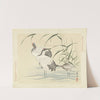 Red-crowned crane (1892) by Matsumura Keibun