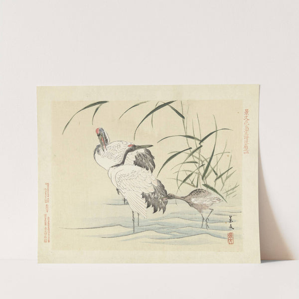 Red-crowned crane (1892) by Matsumura Keibun