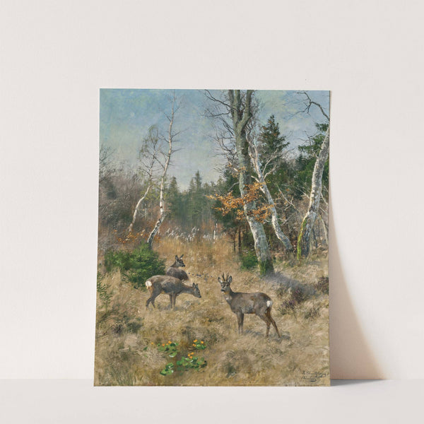 Red Deer in a Forest Glade by Josef Schmitzberger