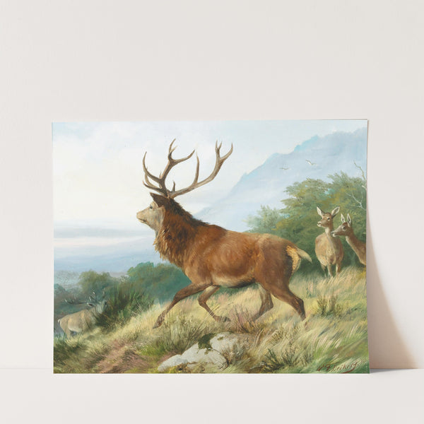 Red Deer in the Rutting Season (1888) by Carl Friedrich Deiker