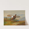 Red Grouse In Flight (1899) by Archibald Thorburn