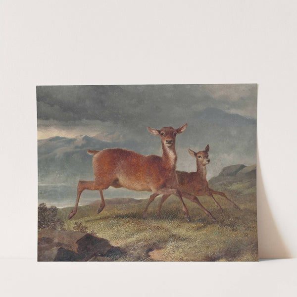 Red hind and calf by John Frederick Herring Snr.