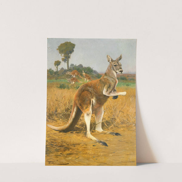 Red Kangaroos In The Outback by Wilhelm Kuhnert