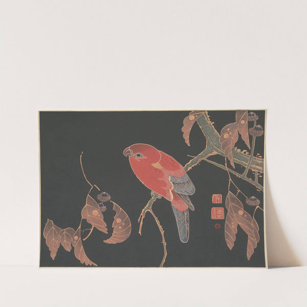Red Parrot on the Branch of a Tree (ca. 1900) by Itō Jakuchū
