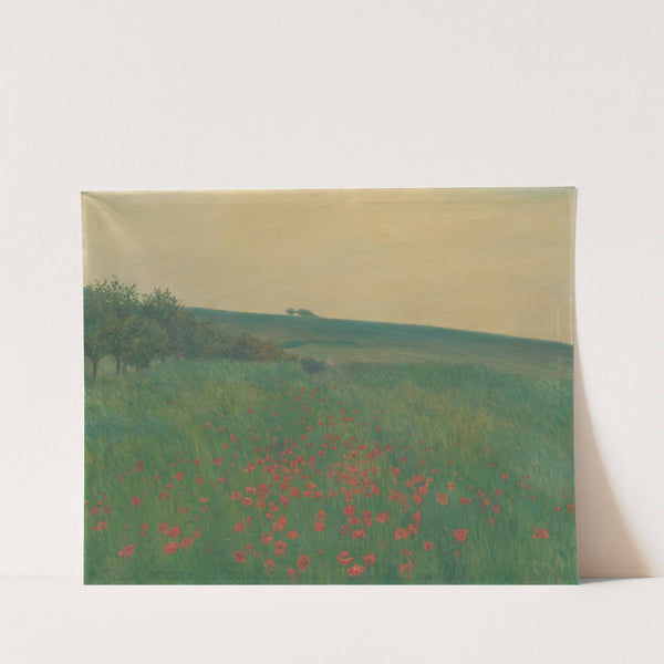 Red Poppies by František Kaván