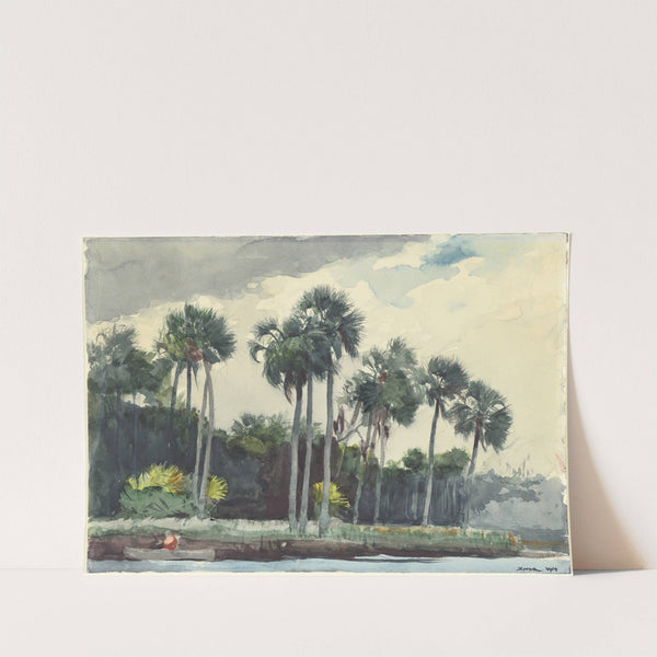 Red Shirt,Homosassa, Florida by Winslow Homer