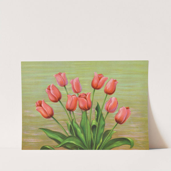 Red Tulip by Lafayette F. Cargill