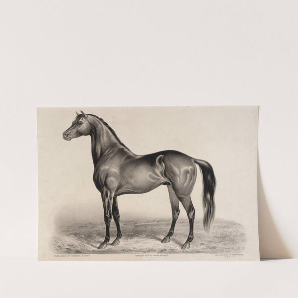 Redpath (1875) by John Cameron