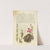 Reed Grass, French Rose, Toad, and Gillyflower (1561–1596) by Joris Hoefnagel