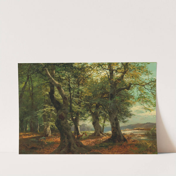 Rehwild im Buchenwald by Heinrich Böhmer