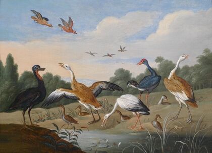 Reiher und Enten