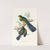 Reinwardt’s Trogon (1835-1838) by John Gould