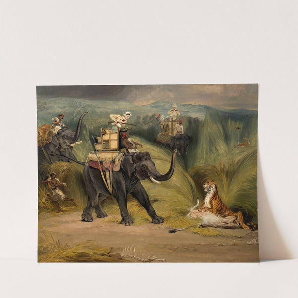 Rencontre fortuite avec un tigre lors d’une chasse à dos d’éléphant en Inde by William Henry Florio Hutchinsson