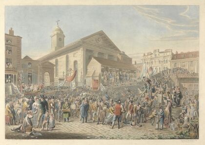 Representation of the Election of Members of Parliament for Westminster 1820 (1820)