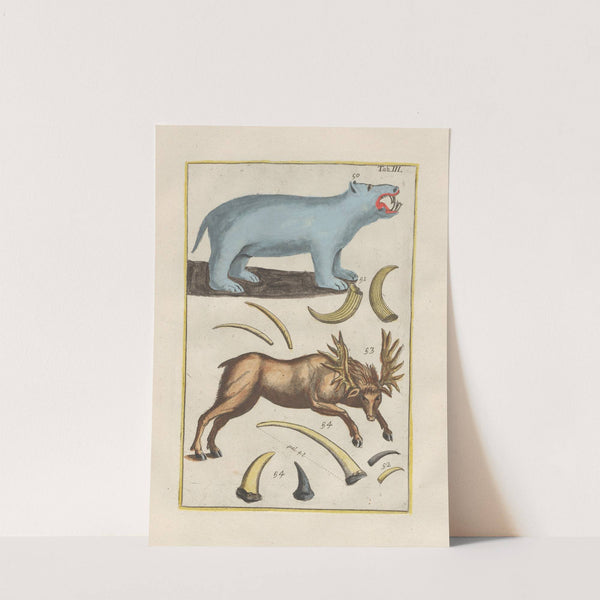 Rerum naturalium historia nempe quadrupedum Pl.03 by Filippo Buonanni